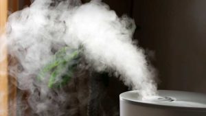 Read more about the article Cool Mist Or Warm Mist Humidifier?